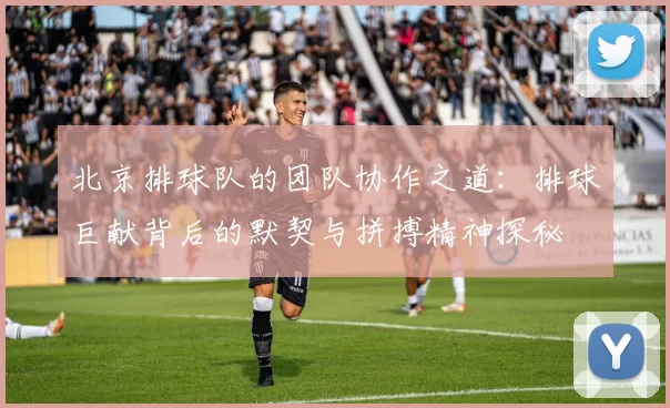 北京排球队的团队协作之道:排球巨献背后的默契与拼搏精神探秘