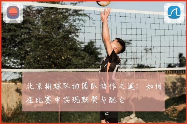 北京排球队的团队协作之道:如何在比赛中实现默契与配合
