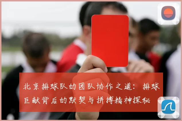 北京排球队的团队协作之道:排球巨献背后的默契与拼搏精神探秘