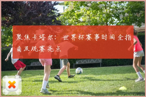 聚焦卡塔尔:世界杯赛事时间全指南及观赛亮点
