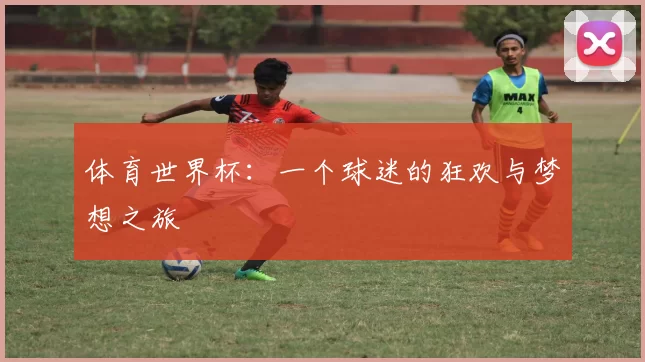体育世界杯:一个球迷的狂欢与梦想之旅